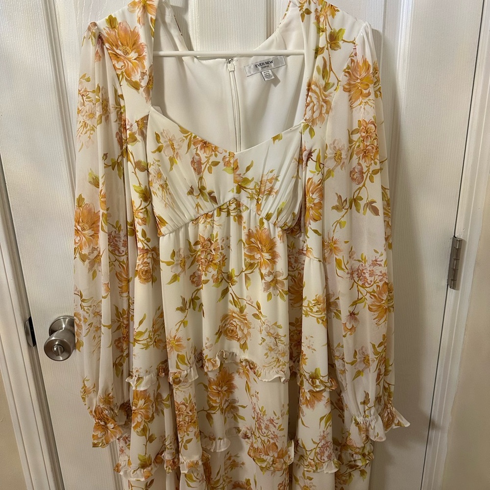 Ever New Floral Dress in Cream and Pink